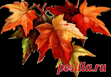 Красивые осенние разделители