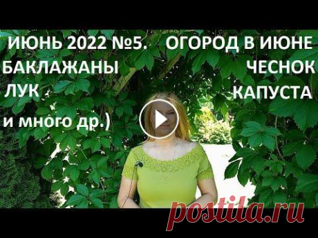 Июнь 2022 серия №5. Июнь - огород в природном земледелии. Уход за растениями в огороде в июне. Отвечаю на ваши вопросы....