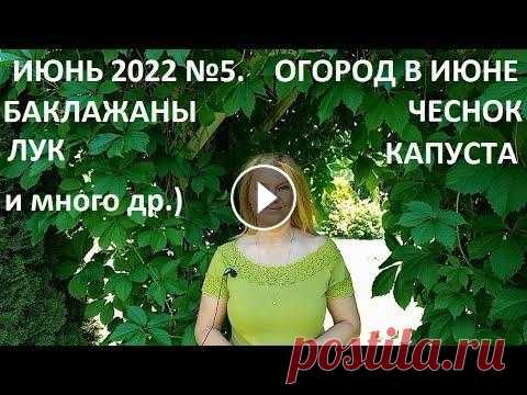 Июнь 2022 серия №5. Июнь - огород в природном земледелии. Уход за растениями в огороде в июне. Отвечаю на ваши вопросы....