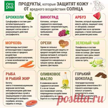 Продукты которые защитят кожу от вредного воздействия солнца