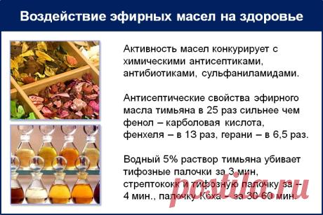 свойства эфирных масел в косметологии таблица: 16 тыс изображений найдено в Яндекс.Картинках
