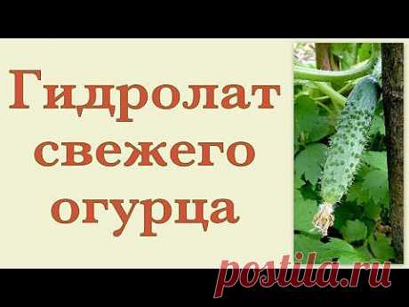Гидролат огурца в домашних условиях - Ярмарка Мастеров - ручная работа, handmade