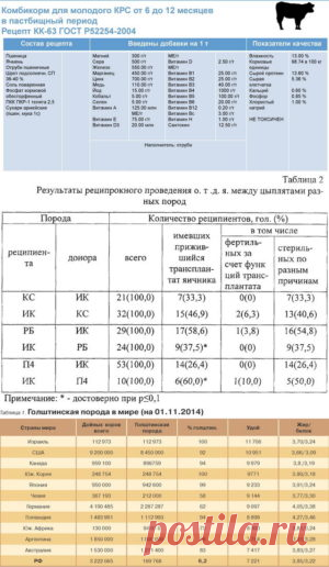 Сравнительная оценка адаптационной способности бычков различных пород - БиоКорова