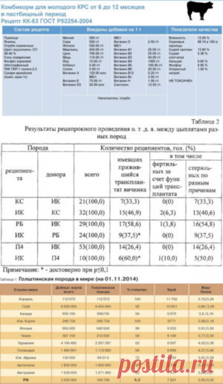 Сравнительная оценка адаптационной способности бычков различных пород - БиоКорова