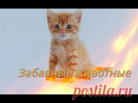 Улыбнитесь