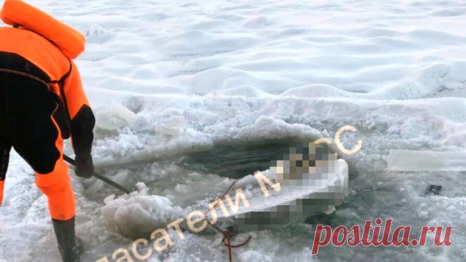 Тело пенсионера нашли вмерзшим в лед на реке в Новосибирске. На реке в Новосибирске нашли тело пенсионера, вмерзшее в лед. Об этом сообщают городские спасатели. Инцидент произошел на реке Иня в районе улицы Заречной. Сотрудники экстренных служб обнаружили тело мужчины 1949 года рождения, который ...