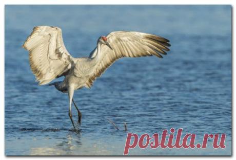 Фотографии Голубая планета - 463 фото в Моем Мире.