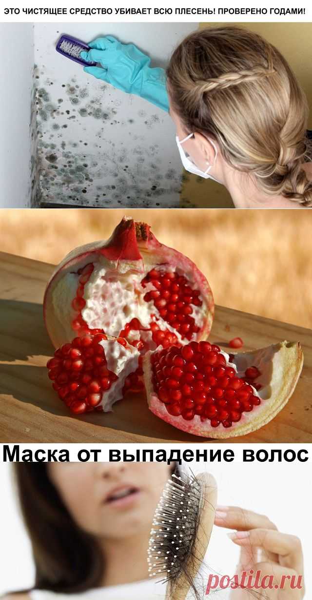 Одноклассники    ✔ ПОЛЕЗНЫЕ СОВЕТЫ : 
Сохраните, чтобы не потерять.

СОВЕТ 1: ЭТО ЧИСТЯЩЕЕ СРЕДСТВО УБИВАЕТ ВСЮ ПЛЕСЕНЬ! ПРОВЕРЕНО ГОДАМИ!