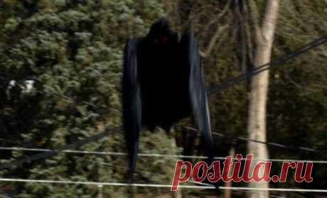 Неразгаданые загадки