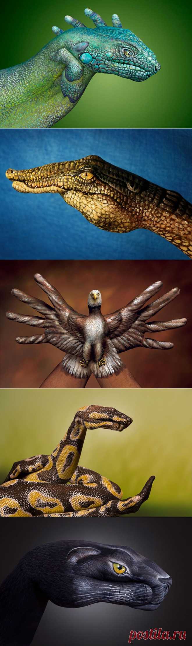 Hand Art. Животные на руках от Guido Daniele | В мире интересного