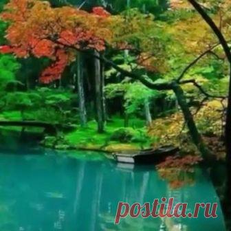 (18) Дербент Без Границ