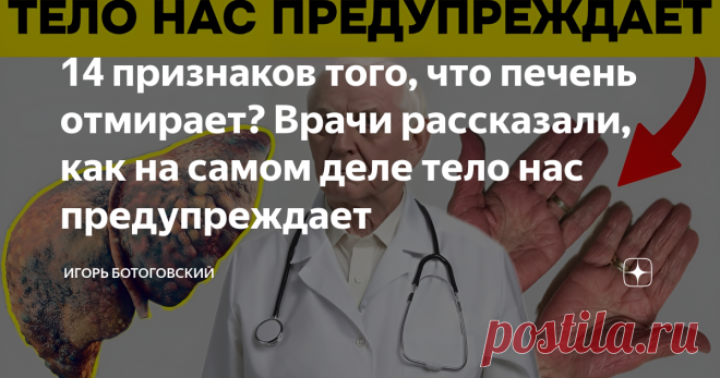 14 признаков того, что печень отмирает? Врачи рассказали, как на самом деле тело нас предупреждает Статья автора «Игорь Ботоговский» в Дзене ✍: В данной статье я хочу поделиться информацией о ранних признаках, указывающих на возможные проблемы с печенью.