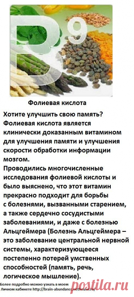 Основные ингредиенты Продукта Брейн Фул Плюс:
Фолиевая кислота
Хотите улучшить свою память? Фолиевая кислота является клинически доказанным витамином для улучшения памяти и улучшения скорости обработки информации мозгом.