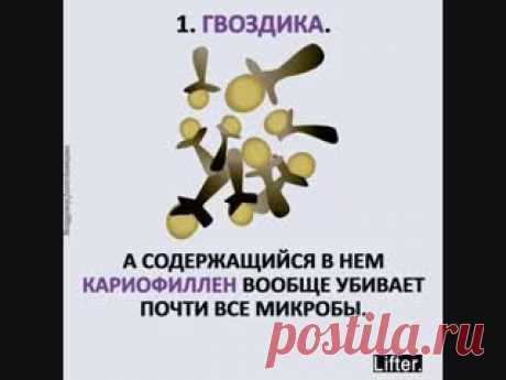 Видеозаписи Я Люблю ЗОЖ | ВКонтакте