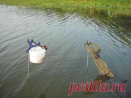 Жара и рыбалка