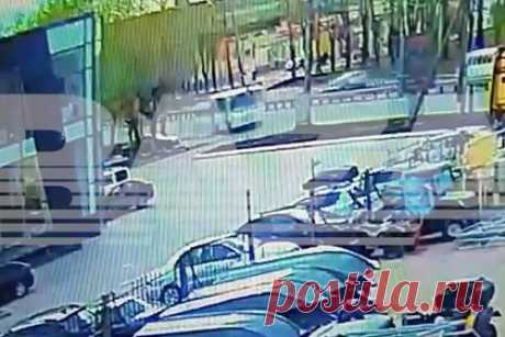 Появилось видео аварии с 29 пострадавшими из-за уснувшего за рулем россиянина. В Кирове почти 30 человек пострадали в аварии с автобусом, который протаранил линию электропередачи. Находившийся за рулем россиянин, предположительно, мог уснуть. На появившихся в сети кадрах с моментом ДТП видно, как общественный транспорт сворачивает с дороги и врезается в столб.