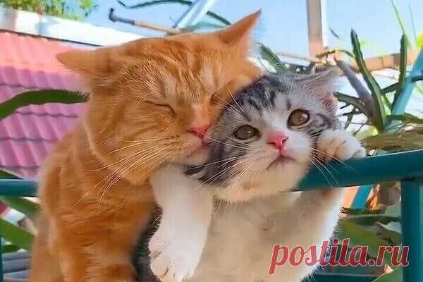 Мой Мир@Mail.Ru