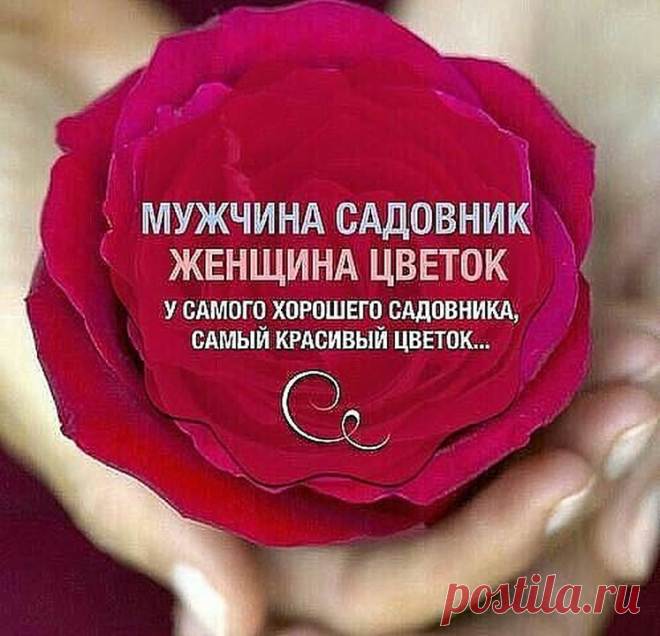 Google+