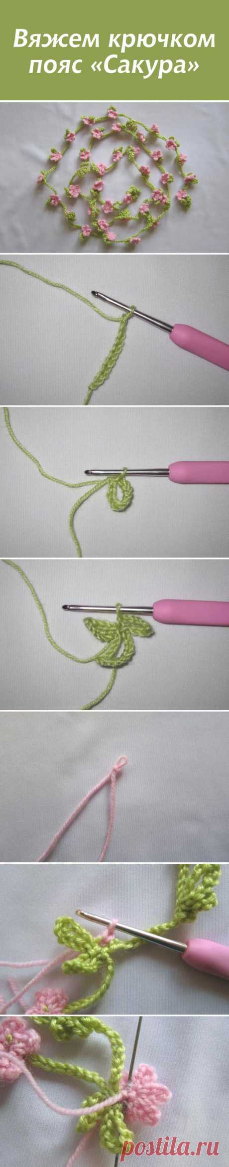 (8) Pinterest