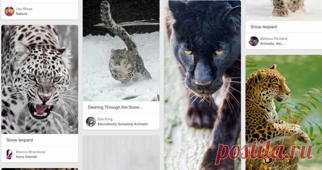 Pinterest: инструмент для поиска и хранения интересных идей