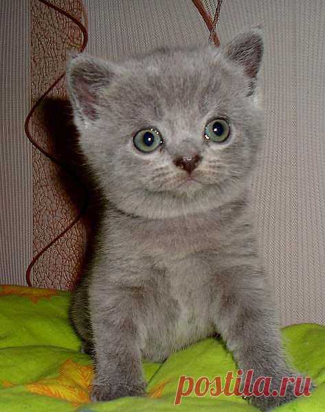 Часовой на посту