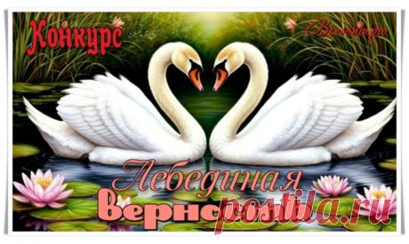 Конкурс «Лебединая верность» - Блоги творческих и интересных людей Блоги интересных людей - Конкурс «Лебединая верность»