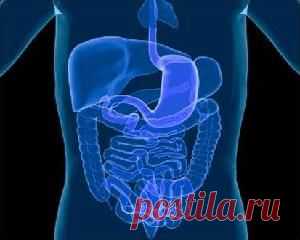 Желудочно-кишечные заболевания