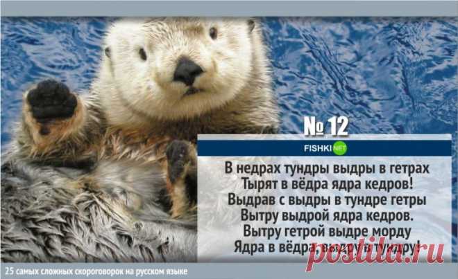 13 зубодробительных скороговорок русского языка / Научный хит