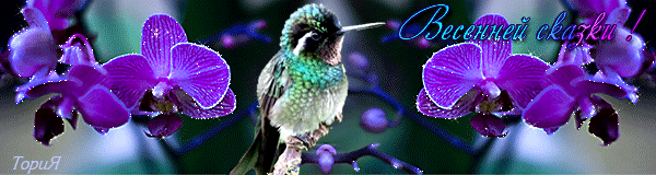 best-covers - 30 фото. Фотографии Татьяна Титова.