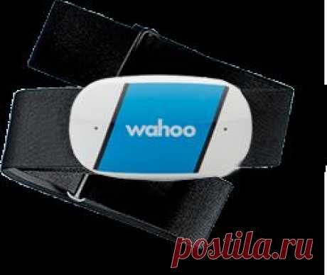 TICKR Heart Rate Monitor Instructions

WAHOO SAMPLE