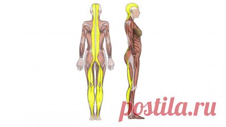 Морщины на лбу. Как их убрать, не прикасаясь к области лба | Екатерина Брагина | Яндекс Дзен
