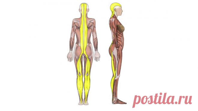 Морщины на лбу. Как их убрать, не прикасаясь к области лба | Екатерина Брагина | Яндекс Дзен