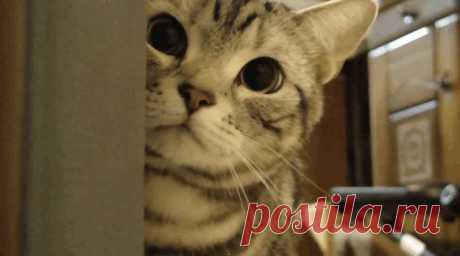 The Trials And Tribulations Of Being The Youngest Child