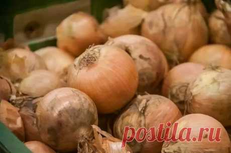 Этот продукт – клад для дачников, а его многие выбрасывают: не проходите мимо старых и проверенных средств. Не все то, что мы считаем отходами, на самом деле является таковым.