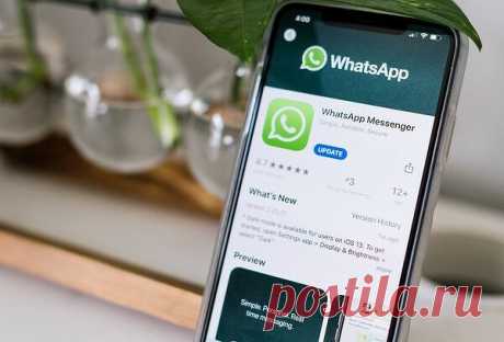 Россиянам запретили скачивать WhatsApp. Как обойти ограничение Россияне больше не могут скачивать WhatsApp для Windows и macOS с сайта мессенджера. Причина блокировки не установлена...