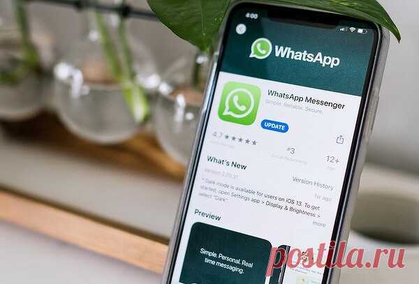 Россиянам запретили скачивать WhatsApp. Как обойти ограничение Россияне больше не могут скачивать WhatsApp для Windows и macOS с сайта мессенджера. Причина блокировки не установлена...