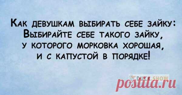 Остренькие жизненные шуточки и анекдоты. Отличный юмор! — По секрету всему свету
