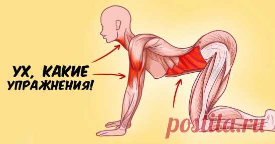 7 упражнений японского целителя Кацудзо Ниши, которые способны творить чудеса с женским организмом.