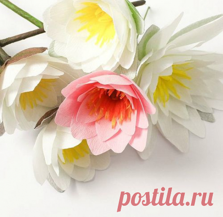 All Things Paper: Crepe Paper Flowers by A Petal Unfolds