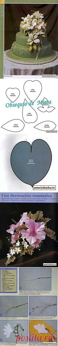 Без заголовка.