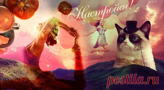 Не будем как Grumpy Cat! 7 антидепрессантов от осенней хандры | www.wmj.ru
