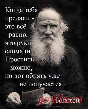 мудрые изречения - Поиск в Google