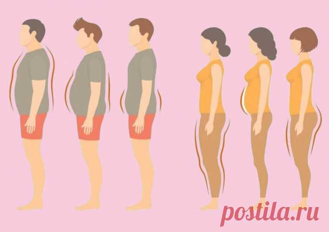 О чем могут рассказать жировые отложения в разных частях тела и как с этим бороться В медицине есть чёткое определение как понятия «лишний вес», так и понятия «ожирение». И если первое — это разновидность нормы, то второе — опасная патология. В принципе, с этим даже бороться можно.