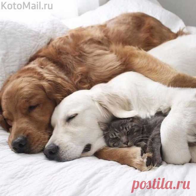 Когда третий не лишний