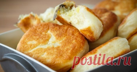 Драники отдыхают: свекровь рассказала, как приготовить новое блюдо из картофеля. Прекрасно смотрятся в окружении зелени и ярких свежих овощей. Мне очень повезло со свекровью! Мало того что она добрая и мудрая женщина, так еще и