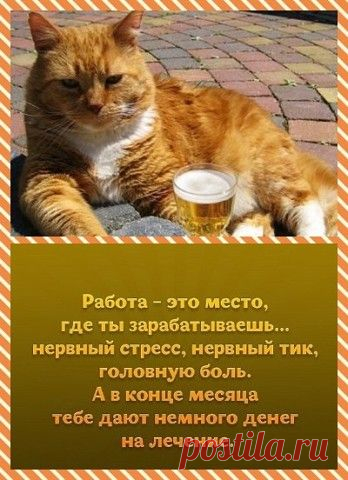 (114) Pinterest