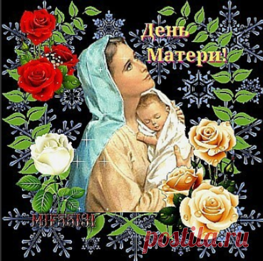 (3) Одноклассники