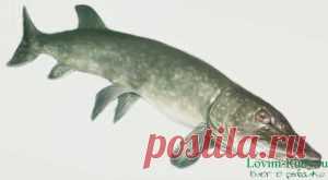 Ажурная кофточка из мотивов | Вязание спицами и крючком