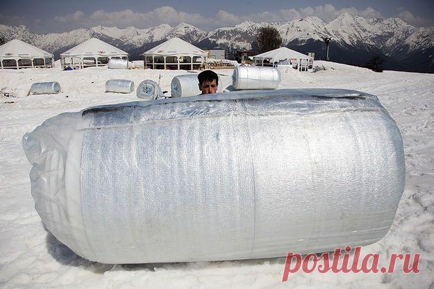 ВЕДОМОСТИ - ФОТО - Как запасают снег в Сочи - снимок 2