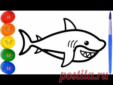 Как нарисовать АКУЛУ | Раскраска АКУЛА | Раскраски Малышам